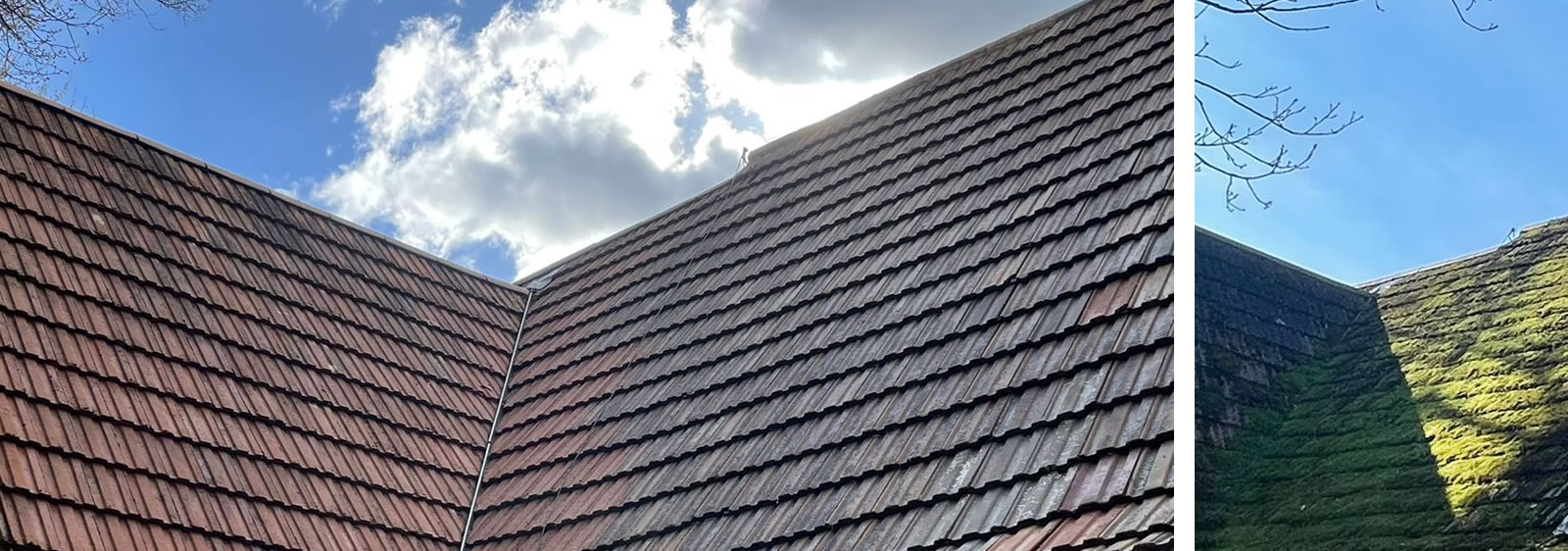 Amazing transformation from heavily mossed roof to cleaned roof