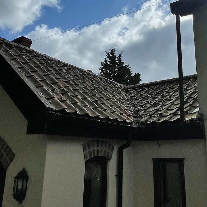 Old farmhouse with dirty , moss, algae and lichen covered roof tiles