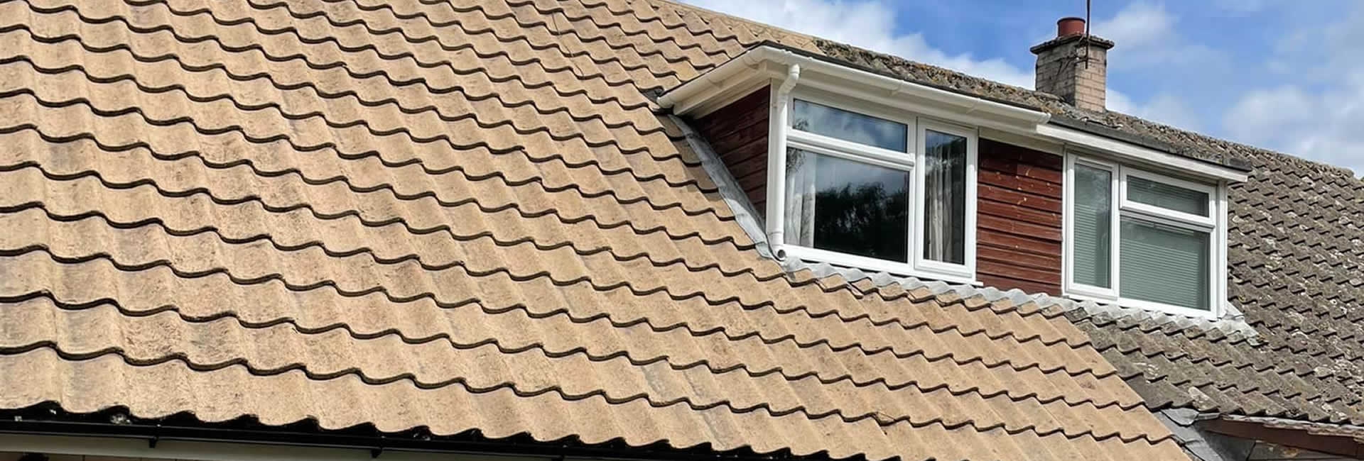 Clean roof next to neighbours dirty, moss, roof