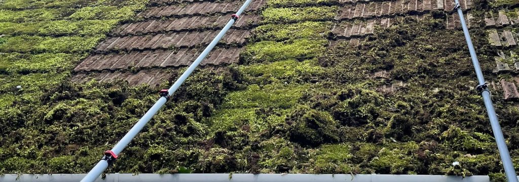 slider_roof_cleaning