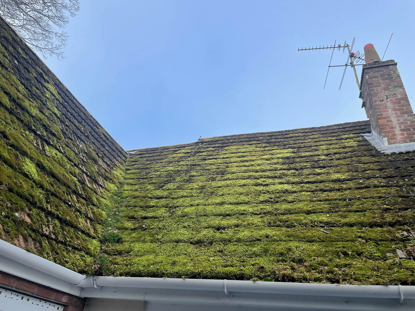 big_farmhouse_moss_on_roof_1400x1050
