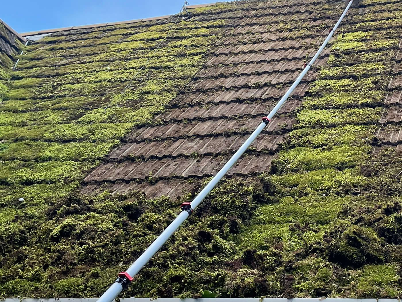 big_farmhouse_moss_scraping_roof_1400x1050