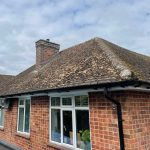 Moss_lichen_dirty_roof