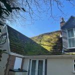 WhatsApp Image 2022-03-19 at 10.42.13 PM (1)