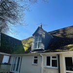 WhatsApp Image 2022-03-19 at 10.42.13 PM