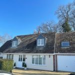 WhatsApp Image 2022-03-19 at 10.42.14 PM