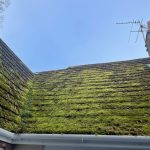 WhatsApp Image 2022-04-02 at 12.28.08 PM