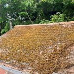 WhatsApp Image 2022-08-28 at 5.22.19 PM