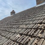 WhatsApp Image 2022-08-28 at 5.22.19 PM (2)