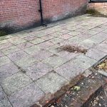 WhatsApp Image 2022-08-28 at 5.26.41 PM (1)