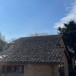 back_view_bungalow_moss_algae_dirty_roof_before_roof_clean_700x