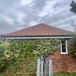 bungalow_side_elevation_lichen_algea_removed_roof_700x