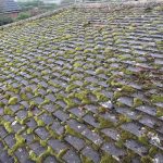 great_barton_moss_covered_roof_700x