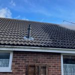 terrace_roof_part_steam_cleaned_700x